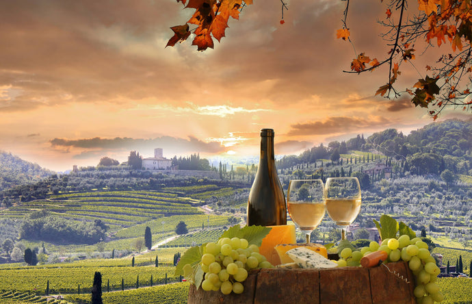 Introducing a new line of Italian wines!
