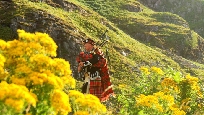 It's Time to Choose Your First Scotch Whisky